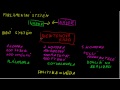 vzdelavacie video