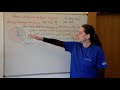 vzdelavacie video