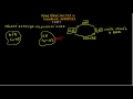 vzdelavacie video
